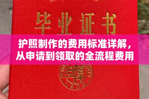 河南护照制作的费用标准详解，从申请到领取的全流程费用指南