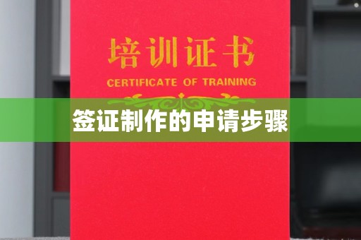河南签证制作的申请步骤