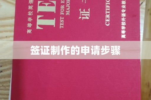 河南签证制作的申请步骤
