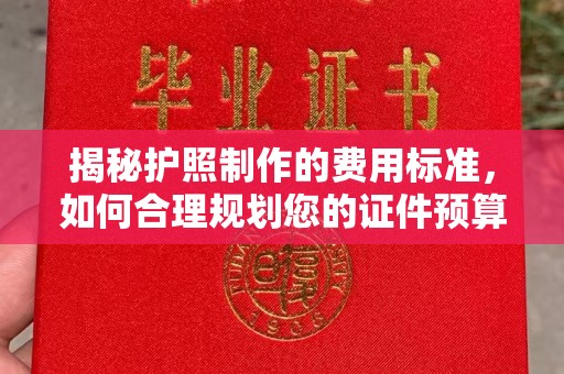 河南揭秘护照制作的费用标准，如何合理规划您的证件预算