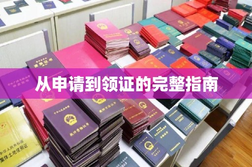 河南从申请到领证的完整指南