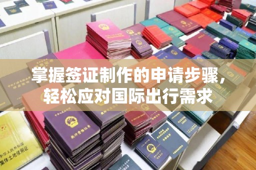 河南掌握签证制作的申请步骤，轻松应对国际出行需求