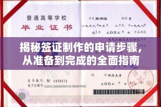 河南揭秘签证制作的申请步骤，从准备到完成的全面指南