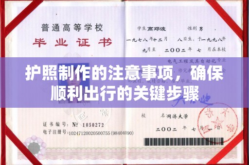 河南护照制作的注意事项，确保顺利出行的关键步骤