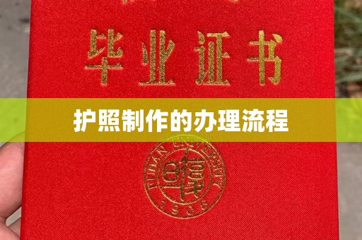 河南护照制作的办理流程