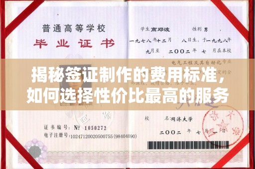 河南揭秘签证制作的费用标准，如何选择性价比最高的服务？