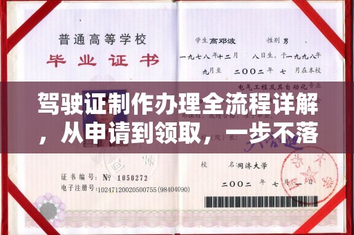 河南驾驶证制作办理全流程详解，从申请到领取，一步不落