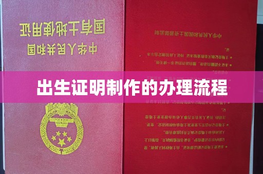 河南出生证明制作的办理流程