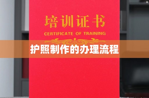 河南护照制作的办理流程
