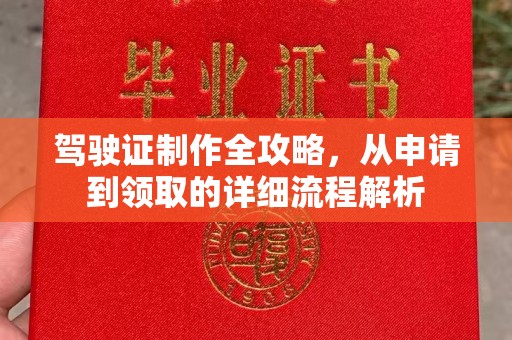 河南驾驶证制作全攻略，从申请到领取的详细流程解析